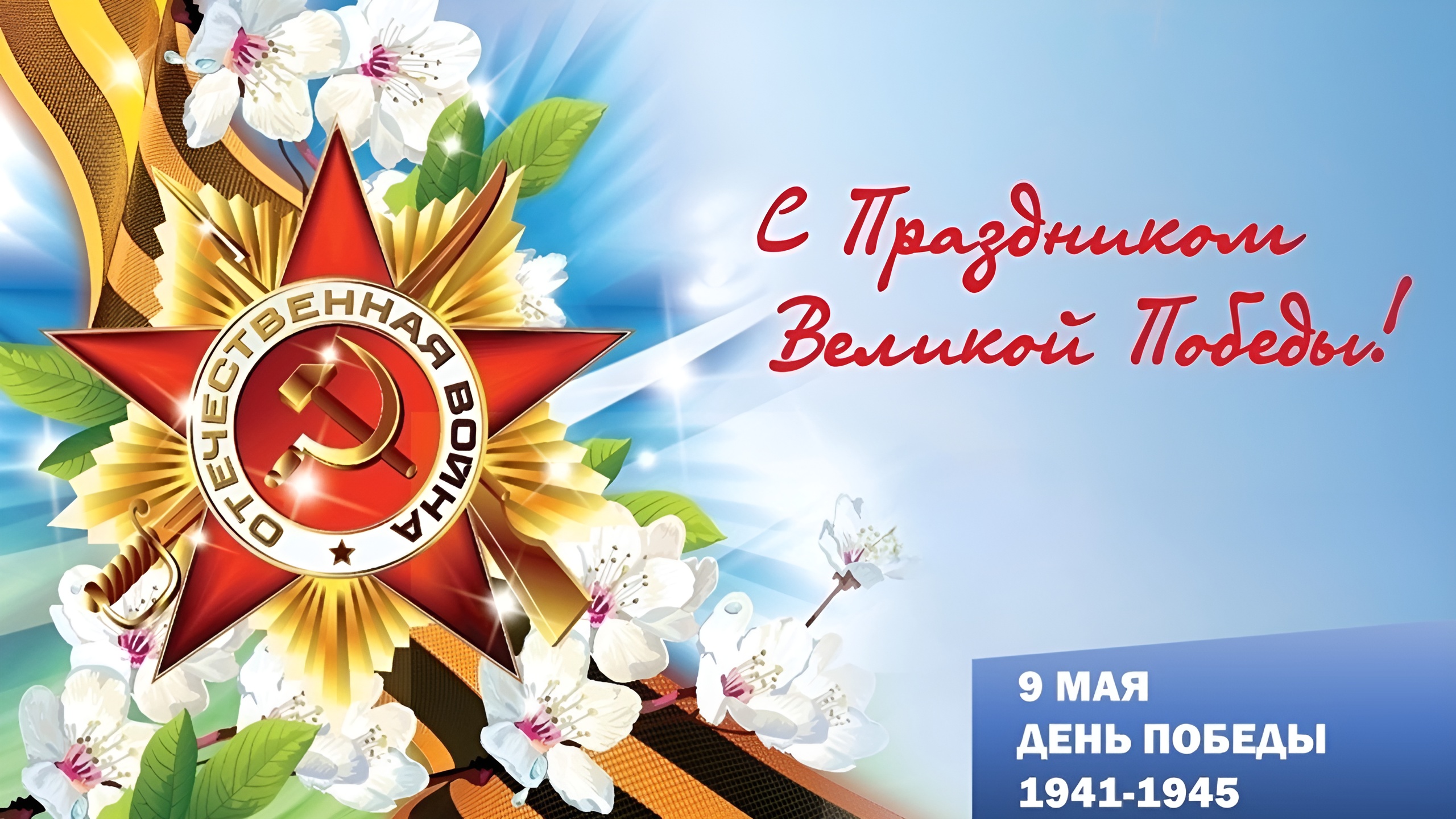 81lsxqaho6iuagh51kvcm3vs1mg04pv7 1