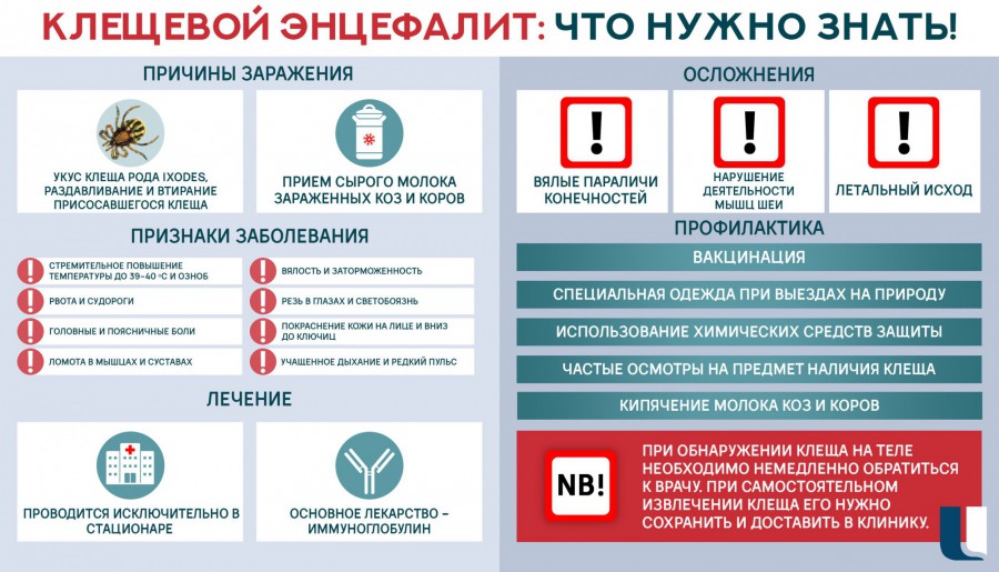 news 207509 image 900x 